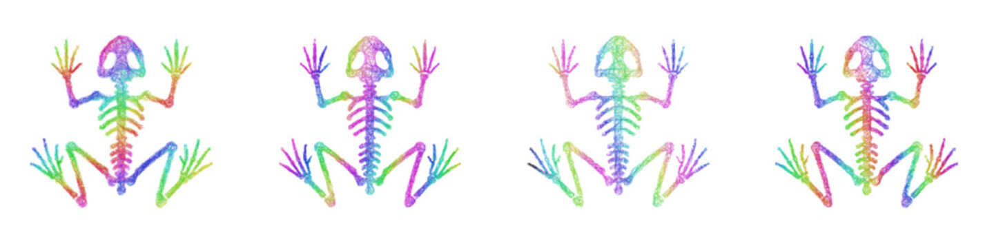 Multicolor sketch Frog Skeleton icon design set