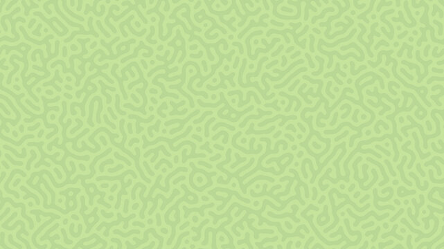 Abstract Organic Maze Pattern Seamless Background Collection in Modern Minimalist Vector Style
