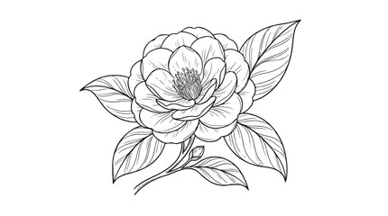 Vintage camellia flower line art, hand drawn botanical blossom with leaves, elegant floral sketch vector for wedding invitations and branding © gulshan