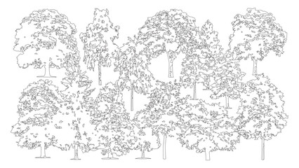 Obraz premium Landscape forest outline composition for site planning and environmental design projects.