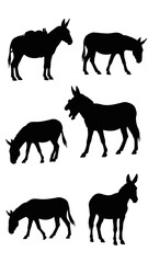 Obraz premium Donkey Silhouettes Collection: Various Poses