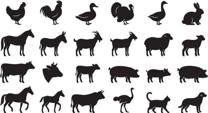 Farm animal silhouette collection featuring domestic livestock and poultry isolated on white background for agricultural design