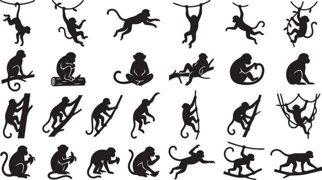 Monkey silhouette vector bundle featuring swinging, climbing, sitting, eating and playful poses isolated on white background