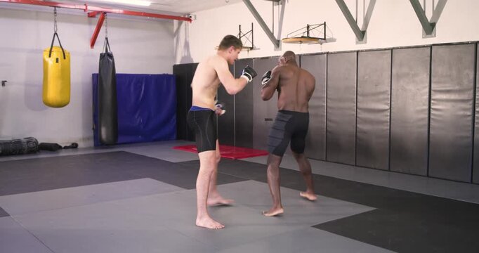 Diverse male sparring duo wearing gloves at gym parrying front kicks and trading jabs