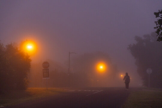 pre dawn fog settling on road illuminated by street lights