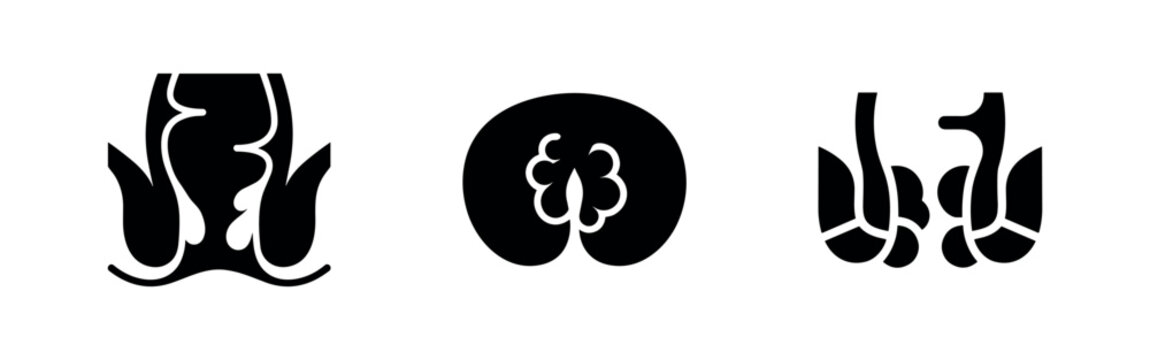 Human Thyroid Gland Icons - Endocrine System and Medical Health Symbols