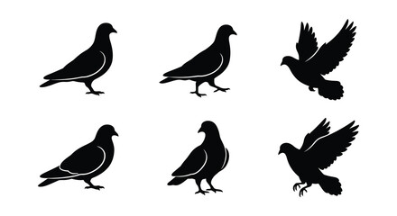 Fototapeta premium Pigeon Silhouettes Black Vector Illustrations On White Background