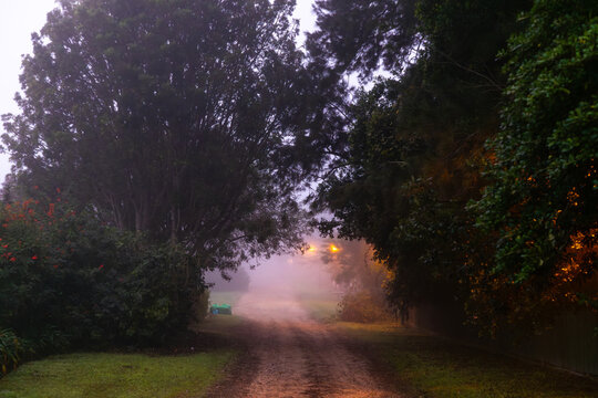 pre dawn fog settling on road illuminated by street lights