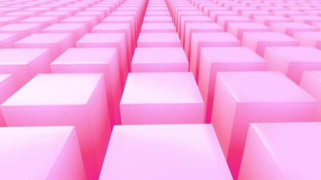 Symmetrical pink cubes array grid flows forward into infinity in a frame perfect 3D render sequence optimized for modern digital art presentation backgrounds