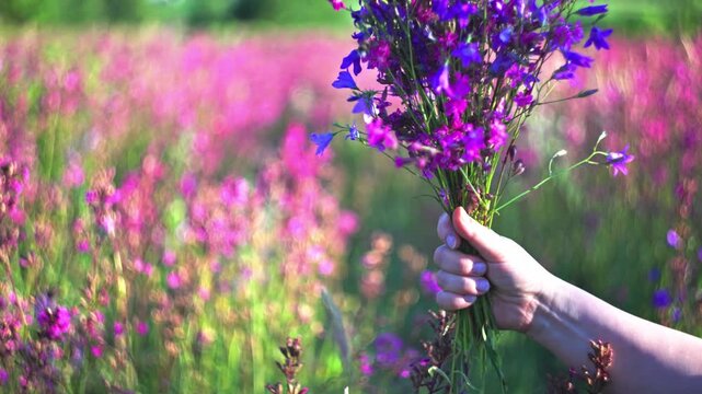 Hand holding a bouquet of colorful wildflowers with bumblebee flying around, against countryside landscape during golden hour.