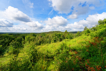 Obraz premium Sain-Louis mount in Fontainebleau forest