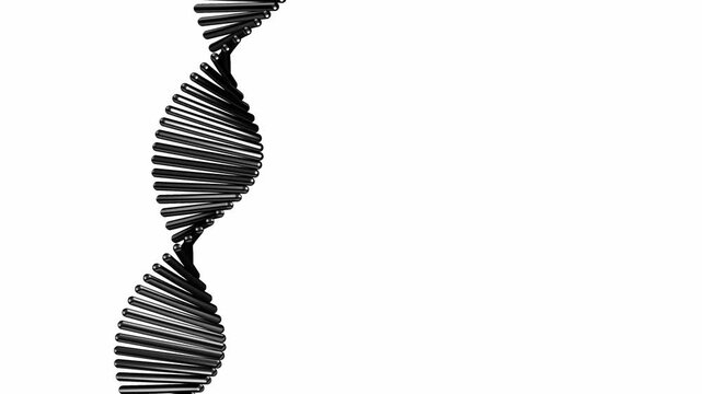 A complete black DNA double helix spins vertically against a pure white background in a clean 3D animation loop perfect for medical title sequences and corporate presentation graphics
