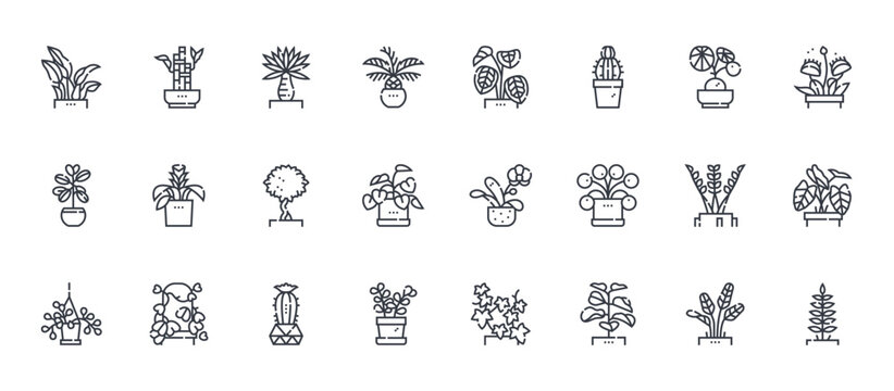 24 outline Indoor Plants web icons such as cinza, jade, zamia, bromelia, calathea. Thin vector symbols for report, presentation, web design and mobile app