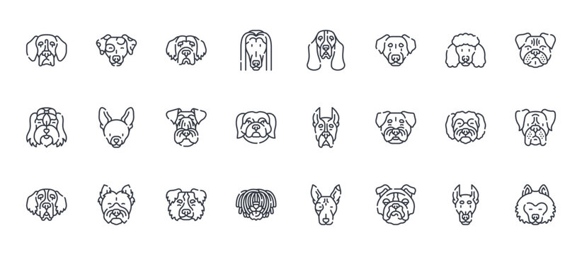 24 outline Dog Breeds web icons such as Doberman, puli, goldendoodle, Chihuahua, Bas Hound. Thin vector symbols for report, presentation, web design and mobile app