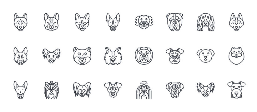 24 outline Dog Breeds web icons such as papillon, jack russell terrier, bichon frise, english toy terrier, bolognese. Thin vector symbols for report, presentation, web design and mobile app