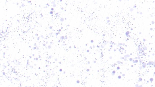 Delicate purple particles stream diagonally across a bright white background in a macro 3D rendering loop for modern corporate and tech intros