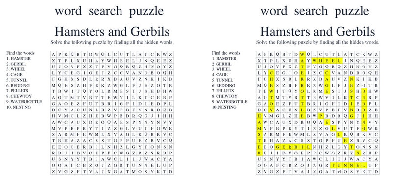 Word search puzzle featuring hamsters and gerbils with highlighted words  