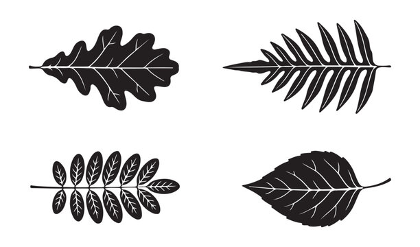 Collection of vintage hand drawn autumn tree leaves silhouette vector illustration isolated on white background