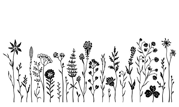 Hand-drawn floral border with cute whimsy flowers and plants, vector doodle composition of set floral silhouette design elements for your cards, frame, poster, cover or background.