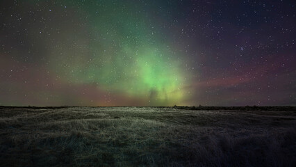 Fototapeta premium Vibrant green aurora borealis illuminates a starry night sky over a dark, frozen landscape field