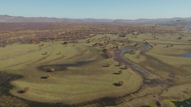 Self-driving aerial photography of the birch forest in Erenhot Wetland Park, Hulun Buir, Inner Mongolia in autumn
