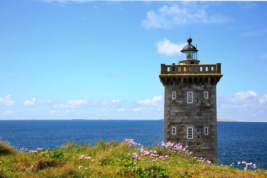 Der Kermorvan-Leuchtturm inmitten einer bl&uuml;henden K&uuml;stenlandschaft. Rosa Blumen und schroffe Felsen pr&auml;gen den Vordergrund vor dem blauen Atlantik unter sommerlichem Himmel.