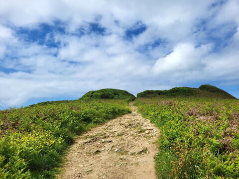 Ein naturbelassener, steiniger Wanderweg f&uuml;hrt hinauf zu den H&uuml;geln der Pointe de Kermorvan. Gr&uuml;ne Farne und Wiesen s&auml;umen den Pfad unter einem weiten, leicht bew&ouml;lkten Himmel.
