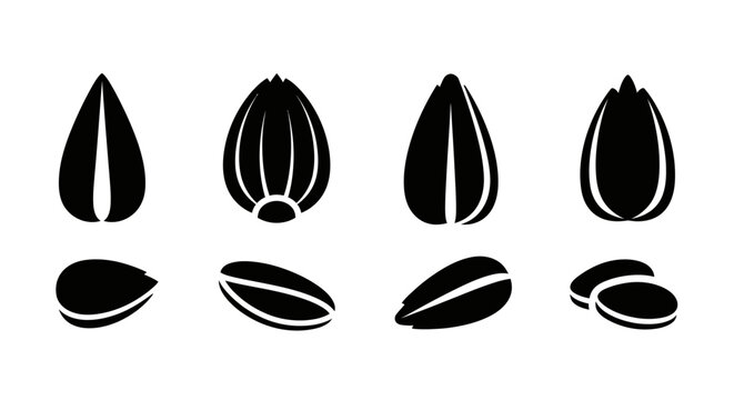 Sunflower Seed Icons: Whole, Cracked, and Shelled Variations