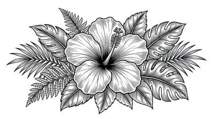 tropical flower illustration, hibiscus and leaves © Berang