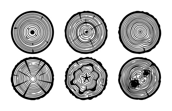Set of six different tree rings cross-sections, wood texture, black and white vector illustrations Vector