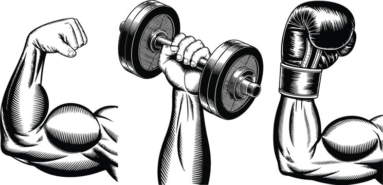 Bodybuilding, icon set, flexing bicep dumbbell grip and boxing glove symbols for gym fitness and strength training