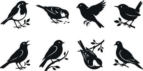 Obraz premium Detailed black silhouette collection of small songbirds perched, feeding, and flying on branches