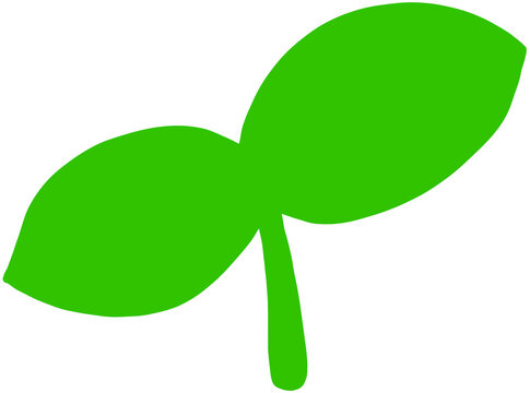 four leaf clover