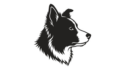 Border collie dog profile portrait in minimalist black and white © Buku