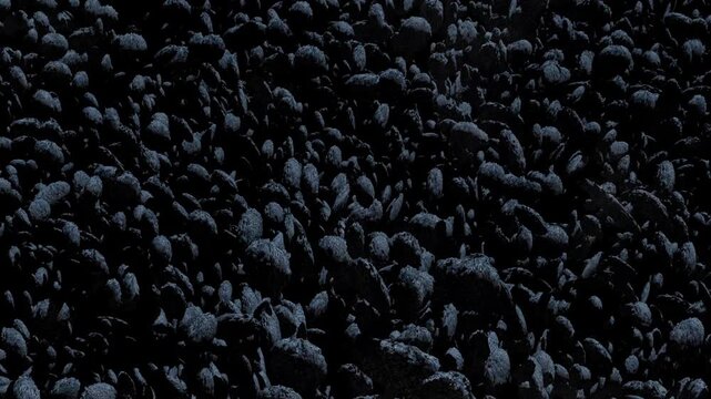 The Kuiper Belt. 3d animation