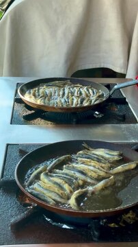 A commercial video of fresh European anchovies (hamsi) frying in a hot pan. The small fish are tightly and neatly arranged in a traditional circular pattern, cooking to a golden crisp