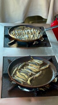 A commercial video of fresh European anchovies (hamsi) frying in a hot pan. The small fish are tightly and neatly arranged in a traditional circular pattern, cooking to a golden crisp