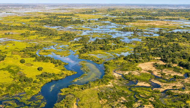 Aerial view of wetlands landscape with winding river streams and lush green vegetation in summer wetlands landscape wilderness environment wildlife conservation riverbed floodplain
