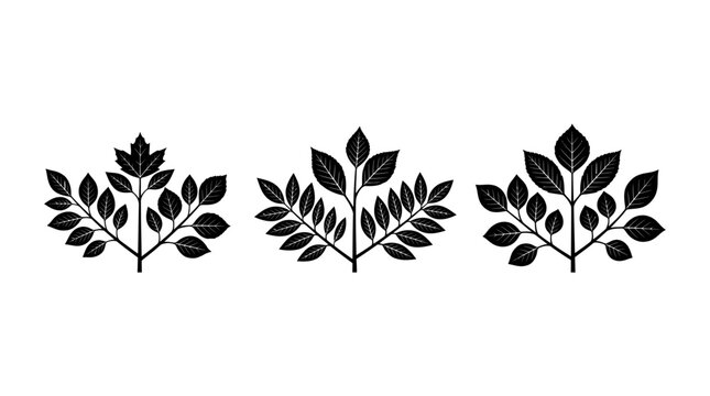 Vector illustration of decorative botanical elements with leaves and branches