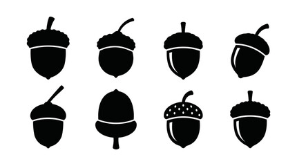 Set of Black Acorn Silhouette Icons Oak Nut Vector Illustration Design © matahari