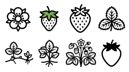 Collection of organic strawberry line icons featuring berry flower and plant © matahari