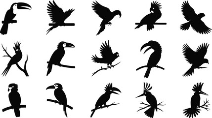 Tropical bird silhouettes with toucans, parrots, cockatoos, and hornbills perched on branches or flying in diverse poses © It's Bishaaaaaal