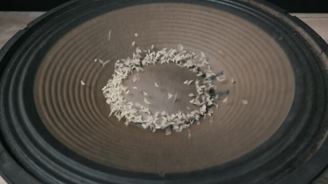 White rice grains bounce rapidly on a black subwoofer cone as low frequencies create intense physical vibrations. Concept of sound wave physics, acoustic energy, and kinetic motion.