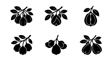 Obraz premium Quince Fruit Vector Icons, Silhouette Branches with Leaves, Organic Produce Graphics