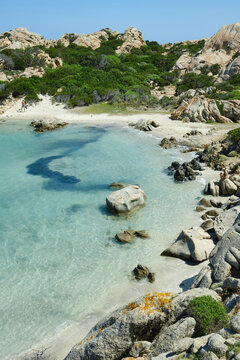 Marine landscape with turquoise waters with granite rock and wild Mediterranean vegetation on a sunny day. The Maddalena Archipelago Cala Napoletana, Sardinia, Italy.