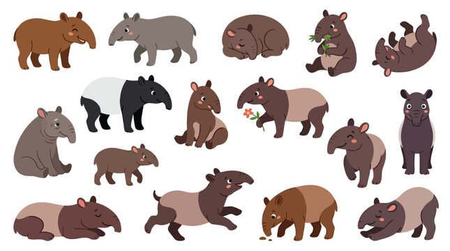 Collection of various tapir illustrations in different poses and colors, showcasing their unique features and playful nature.