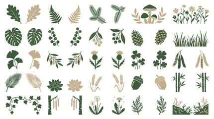 Obraz premium Collection of various green leaves and plants in earthy tones.