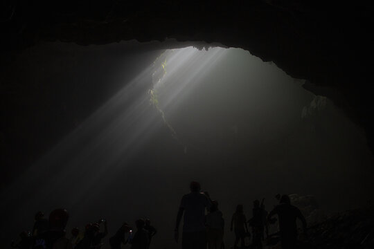 Goa Jomblang cave forest and jungle, Java, Indonesia.