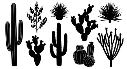 Variety of desert cactus and succulent silhouettes © cekcok