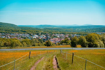 Blick vom Kreuzberg über eine blühende Bergwiese auf Bischofsheim an der Rhön, Unterfranken